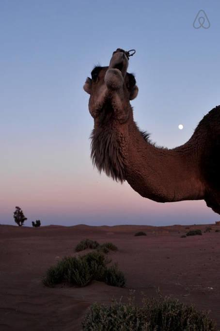 Riad De Reve Загора Экстерьер фото
